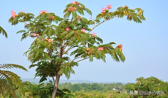 太行山下绒花小镇，河北省民俗文化名村——富家沟村