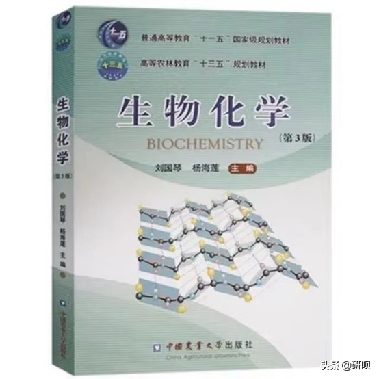 中国农业大学食品科学考研（806生物化学）经验分享