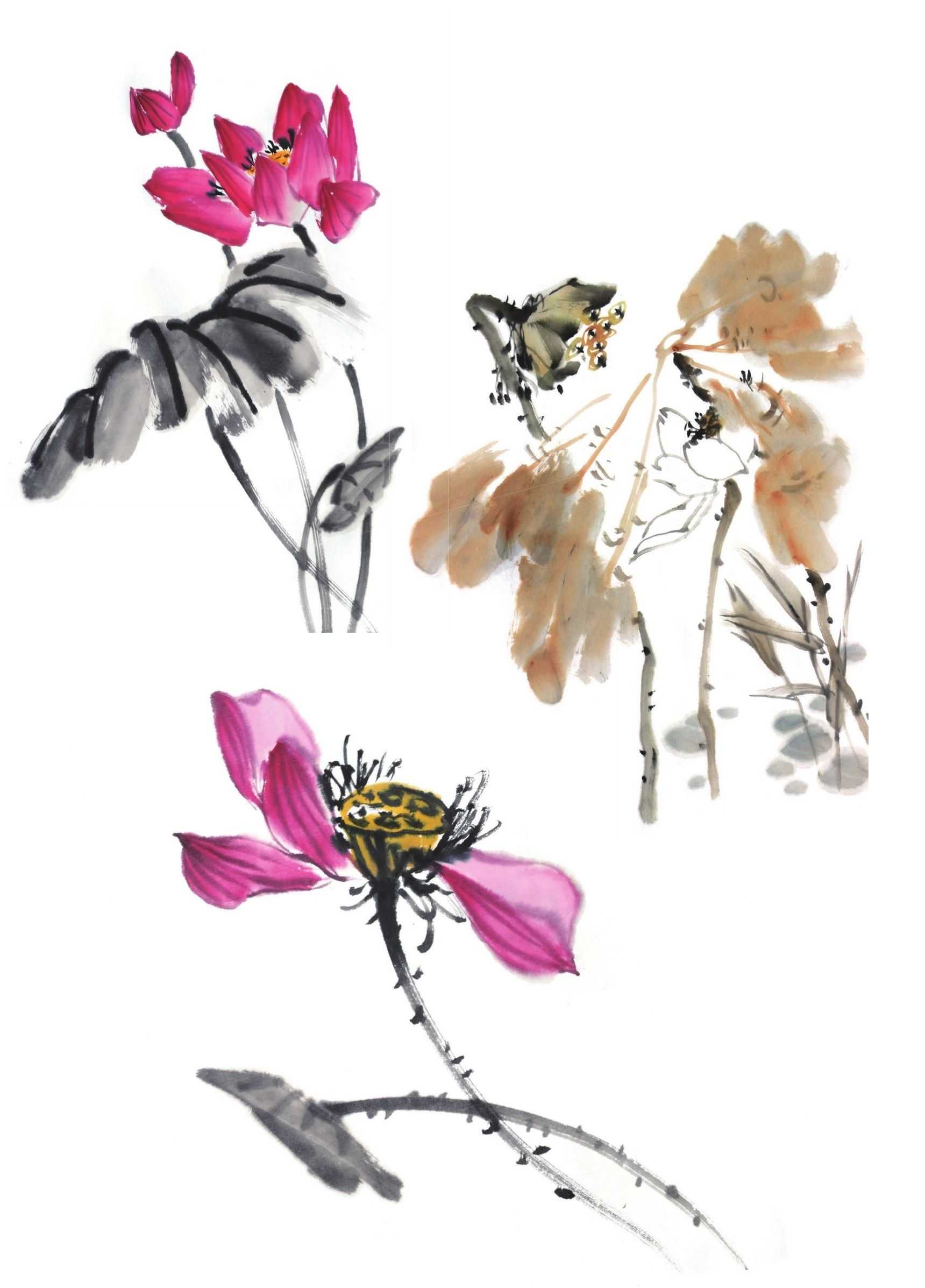 教你4种荷花组合画法,收藏起来学习