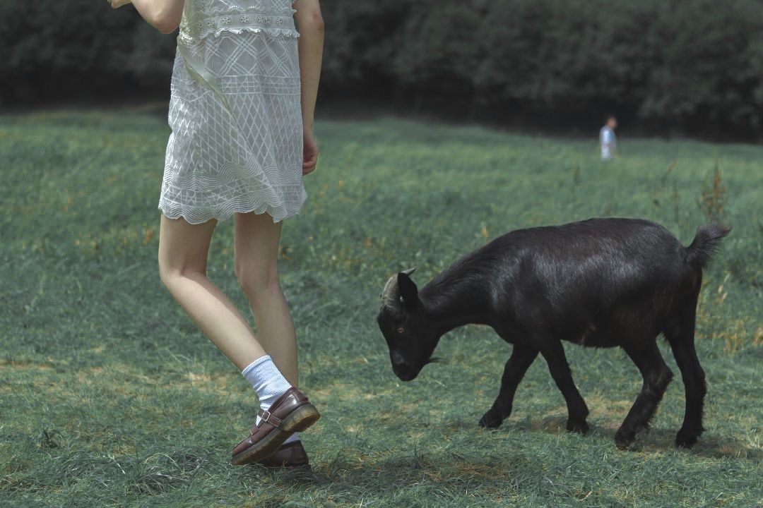 女孩子姨妈期间可以发的文案