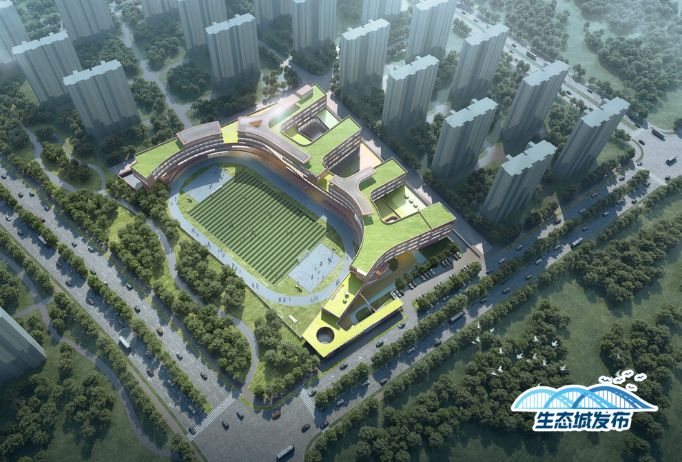 好消息！天津滨海新区又斩获国家级荣誉了