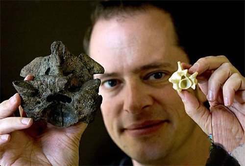5600万年前，重达1吨的大蛇成食物链的顶端，形成原因或再次出现