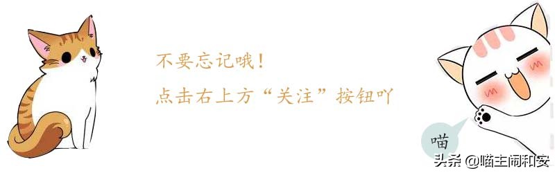 猫咪眼屎增多伴红肿是眼部炎症的表现，需要及时就医检查治疗。