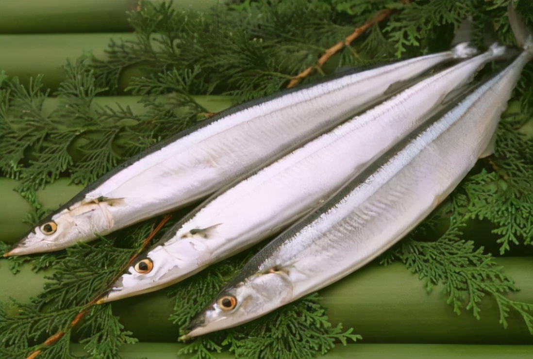 买鱼时,会吃的人专挑6种"海鱼",无法人工养殖,纯野生有营养