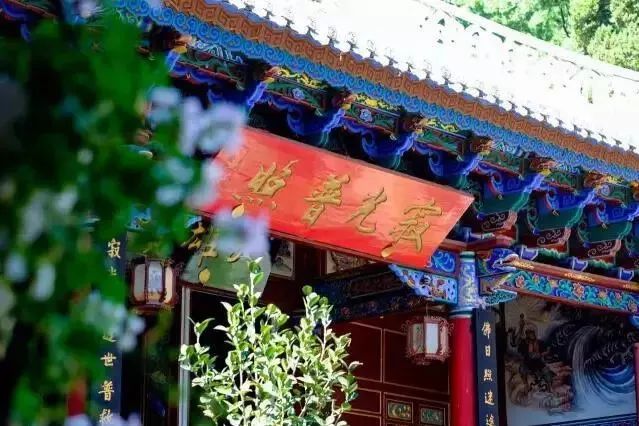 中国最文艺尼姑庵，不烧香只种花，美得想出家！韩红也慕名来参访