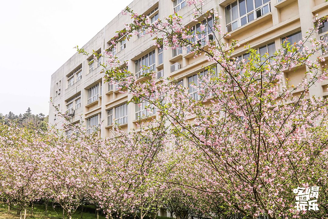 下一站，长沙大学