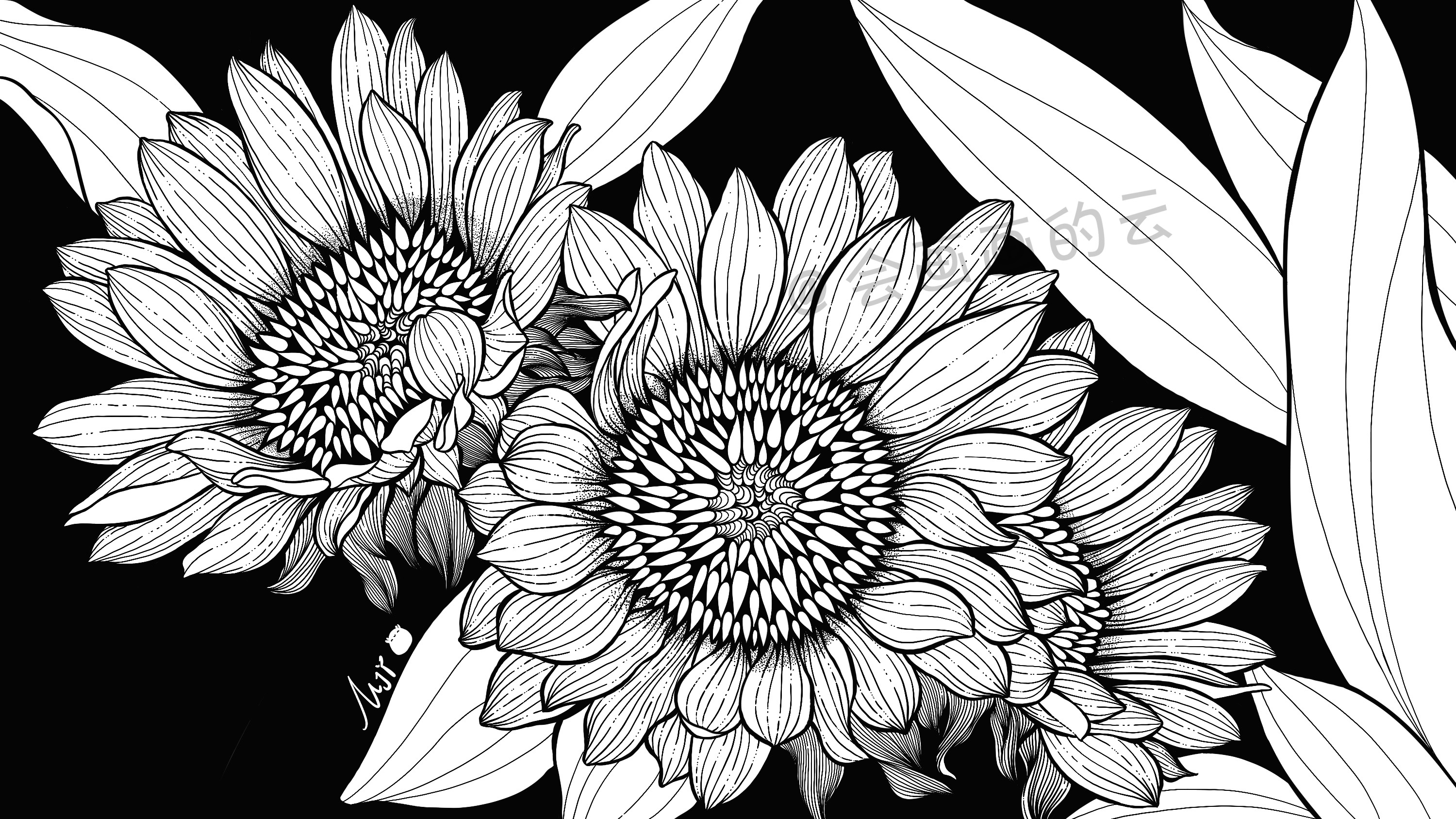 线条的魅力，线描插画过程图详细步骤讲解，教你如何零基础画画