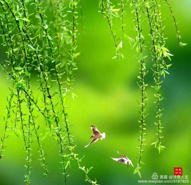 调侃一下又何妨