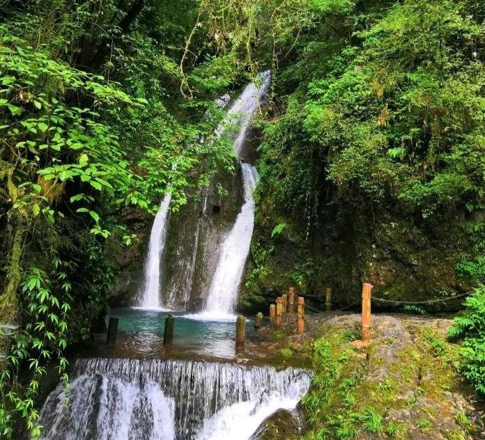 青山绿水，问道青城山