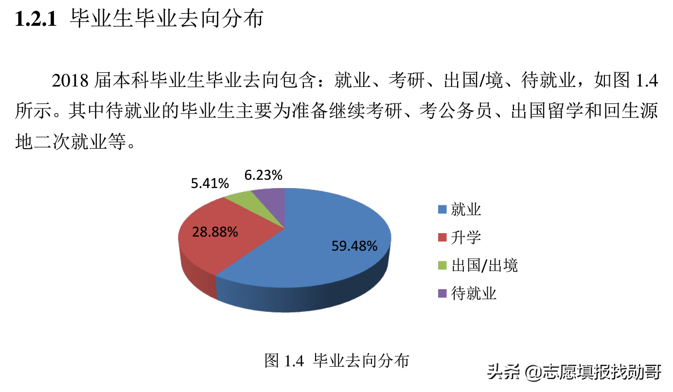 读东北大学秦皇岛分校，还是211大学？没有对比就没有伤害