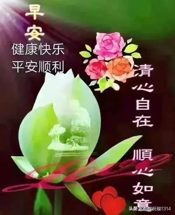 清晨发朋友圈的早安祝福问候语，清晨最美早安问候祝福语温馨短句