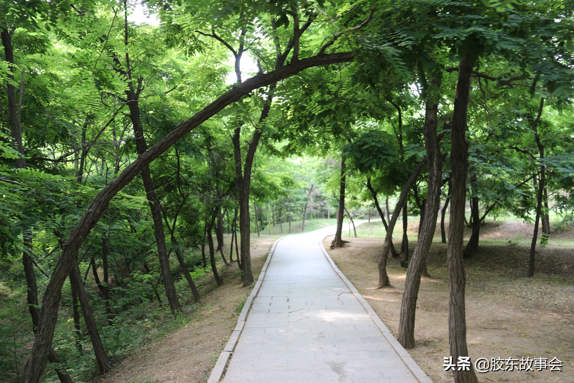 胶东游记：在即墨的马山上，俯瞰青烟威荣城际铁路