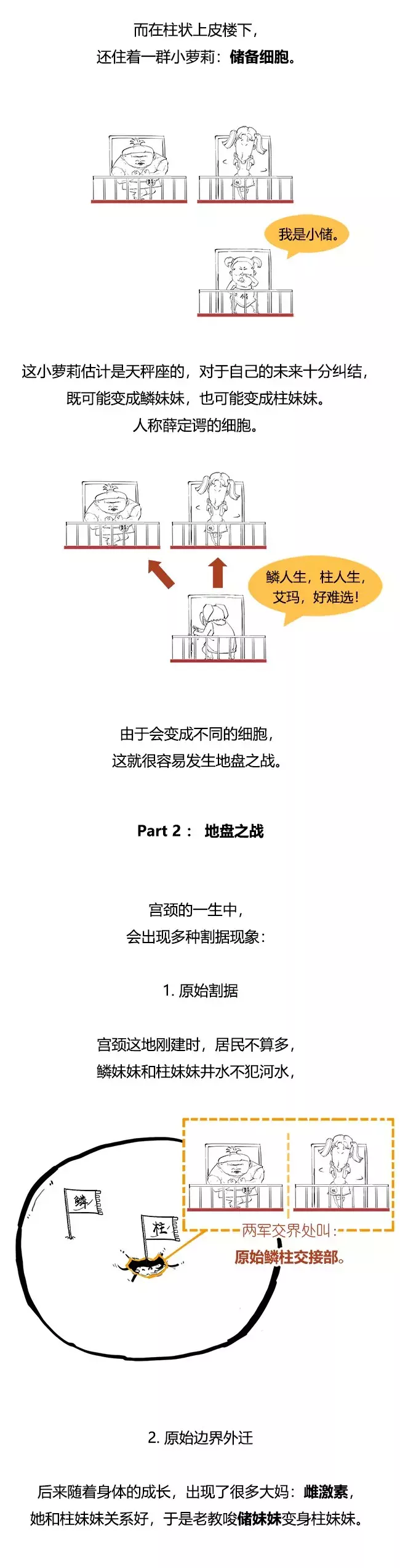 一口气搞懂宫颈癌