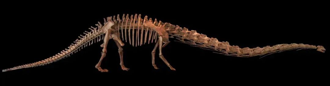 这，就是成都理工