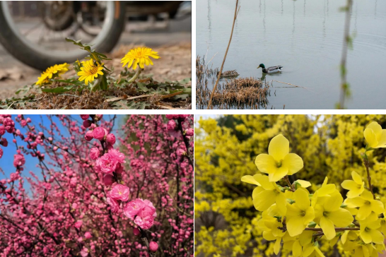 天津商业大学地址（超心动）