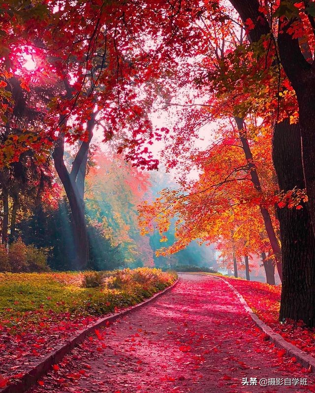 秋景不能胡乱拍,这9个秋景摄影技巧你会吗,照片变美很简单