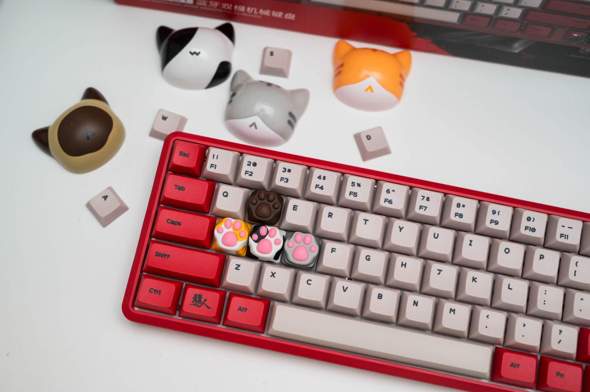 客制化68键配列的颜值巅峰，黑爵镖人机械键盘上手体验