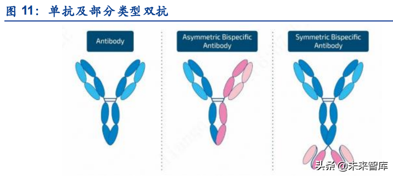 医药行业CSCO+ESMO2021分析：研发热点、临床数据及竞争格局解读