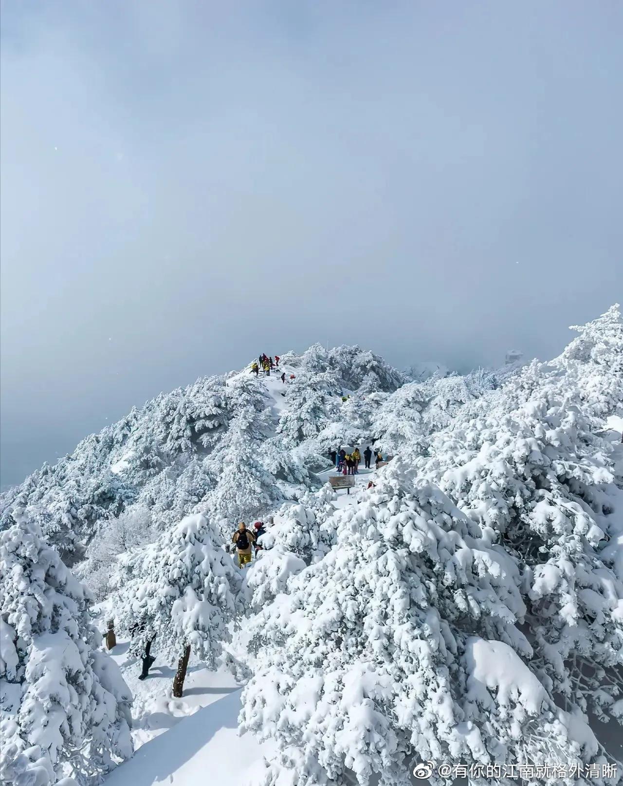 登黄山，天下无山：晓破日出，天光乍现，“美”自此有了它的归宿