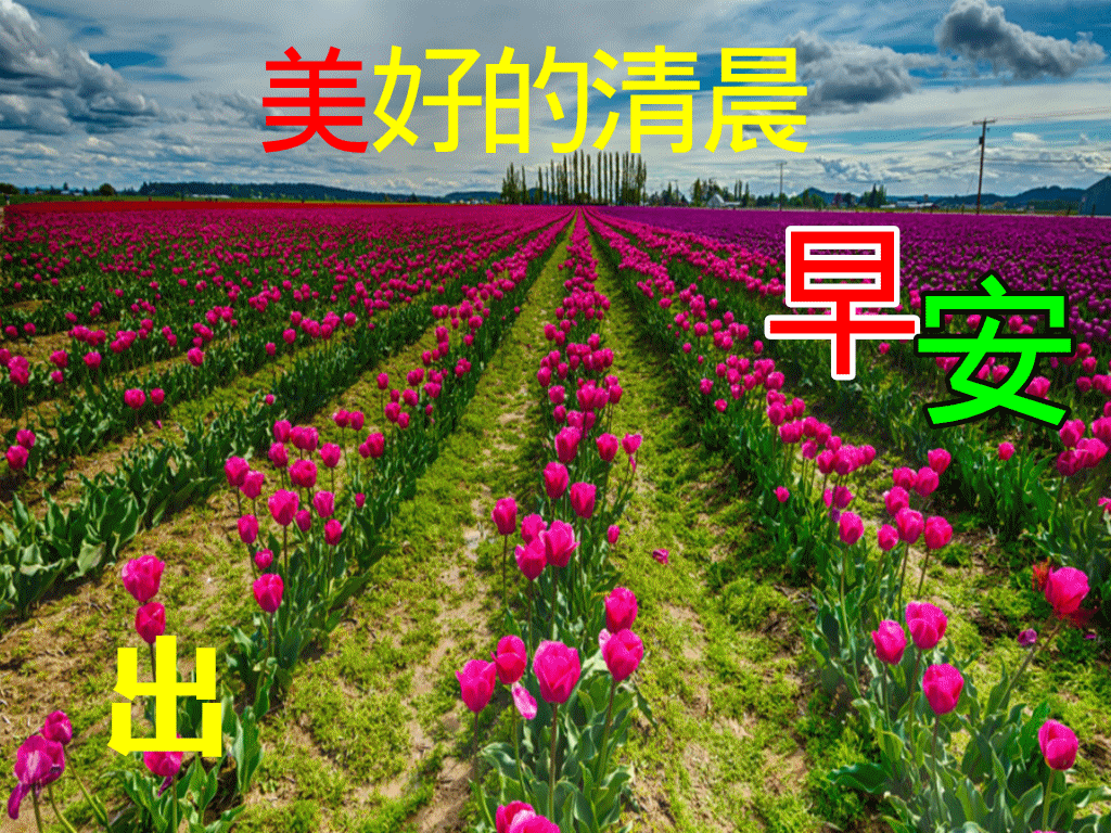 11月6日特别漂亮早上好祝福动态图片大全，深秋早晨好美图大全