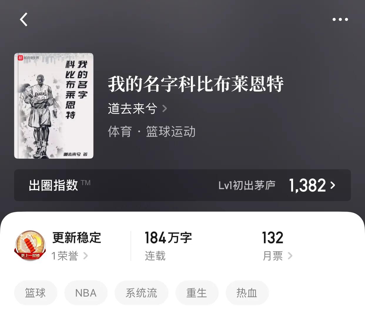 nba大本为什么钟爱艾佛森(几本篮坛小说，在故事中我们看不到逝去，看到的是重新的辉煌)