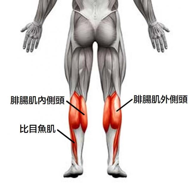 10个女生9个说自己小腿粗：解决萝卜腿，最有用方法竟然不是运动？