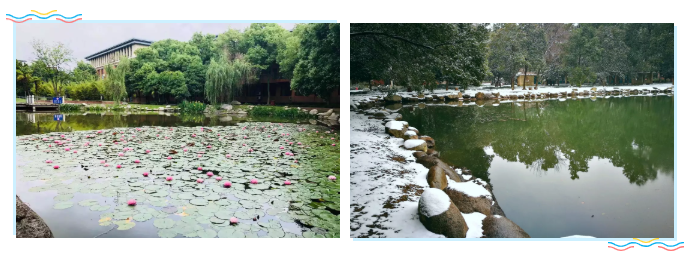 2020届学弟学妹，武汉外语外事职业学院在找你