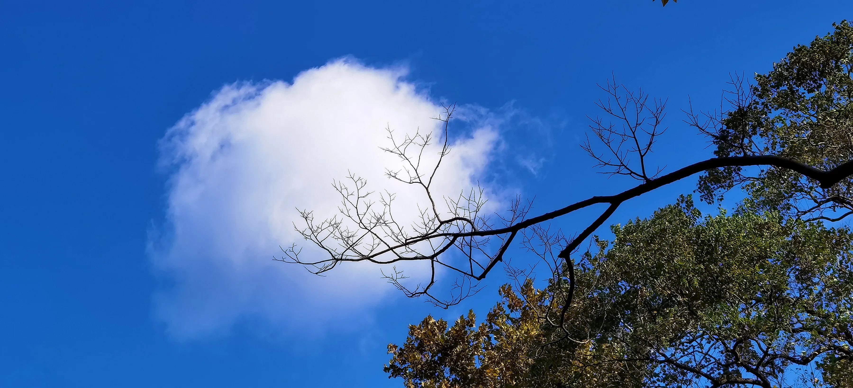 手拍世界（手机摄影平台）-群员作品集（总第733期）