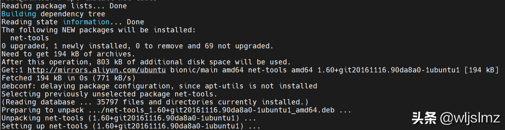 Linux系統6种查看IP地址的方法