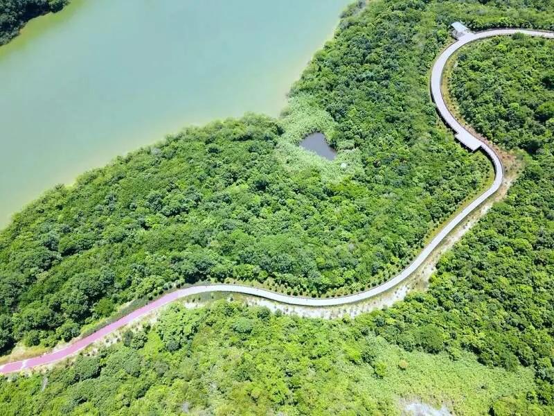 深圳十大免费特色的湖泊公园