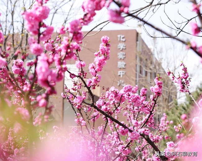 距天安门仅有38公里的大学，以为是北京高校，实际上却不是！