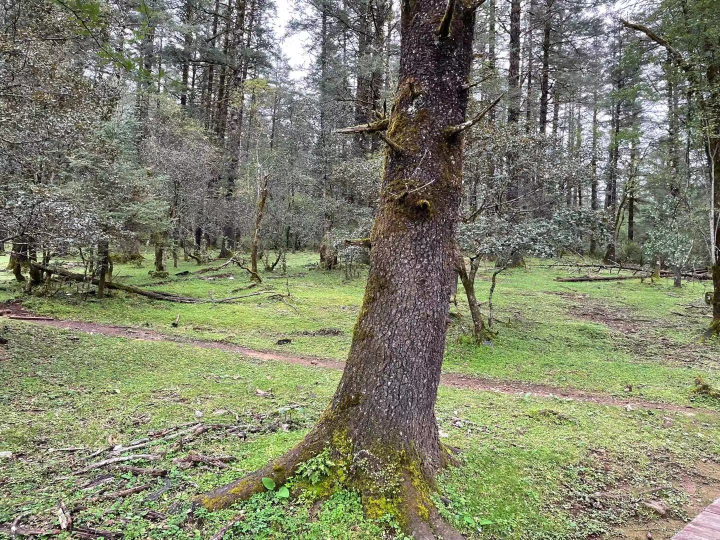玉龙雪山山麓的蓝月谷，是蔚蓝天空送给丽江的永恒印记