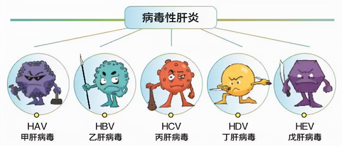 肝硬化的4大病因已找到，做好这4件事，肝会慢慢变“软”