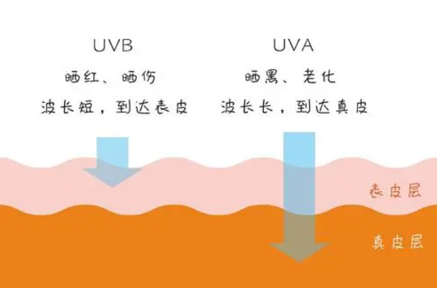 性價比王者選哪款？10款防曬霜橫評，尋找母親節最佳禮物