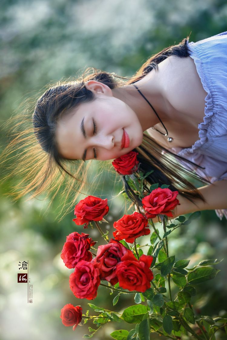 月季花鲜艳如火的画面，花海中唯美人像摄影