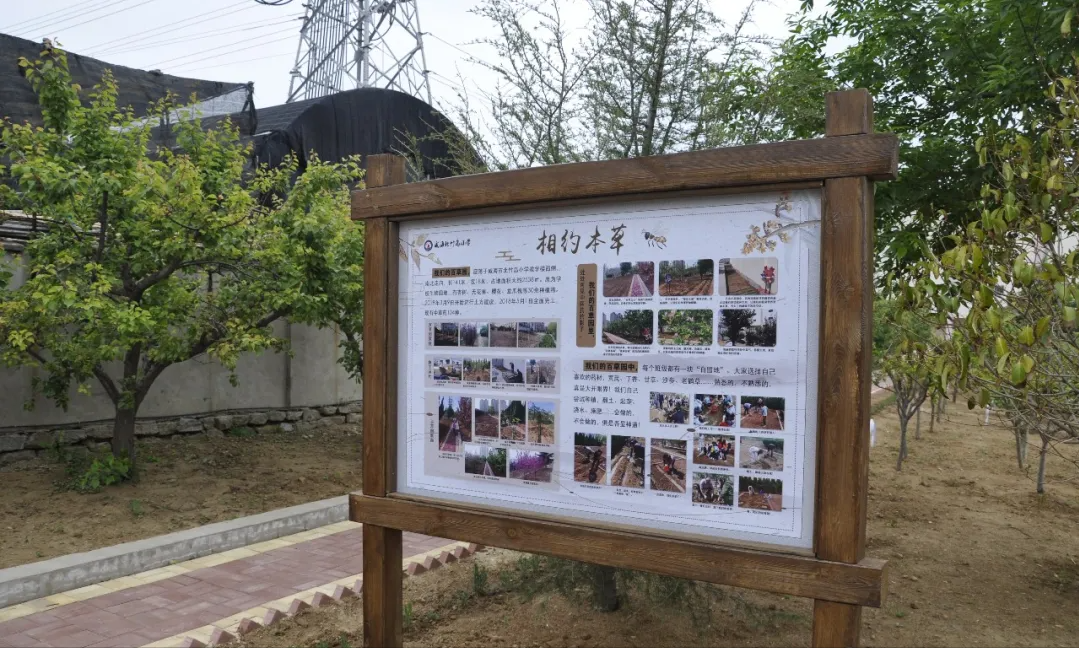 威海市环翠区北竹岛小学：构建“333”体系 高质量推动中医药文化进校园