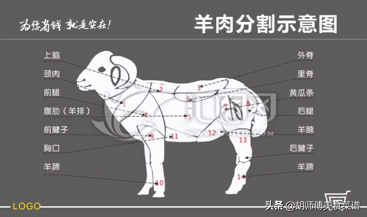 羊蝎子是羊的哪个部位内行人专买这3个部位