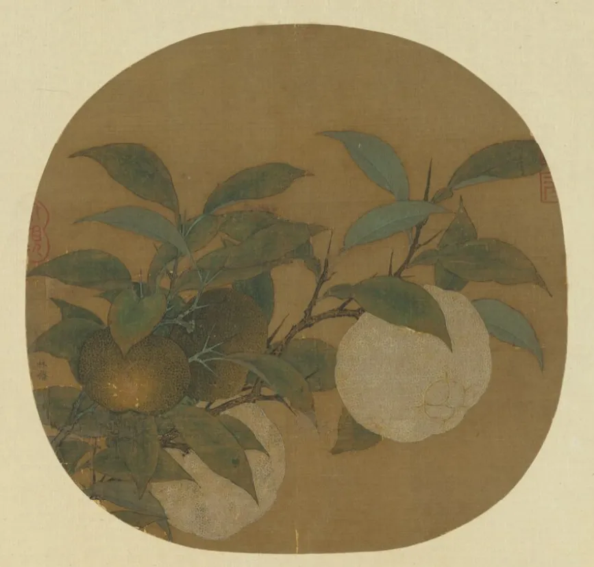 桃子的寓意和象征是什么（古代舌尖上的水果味）