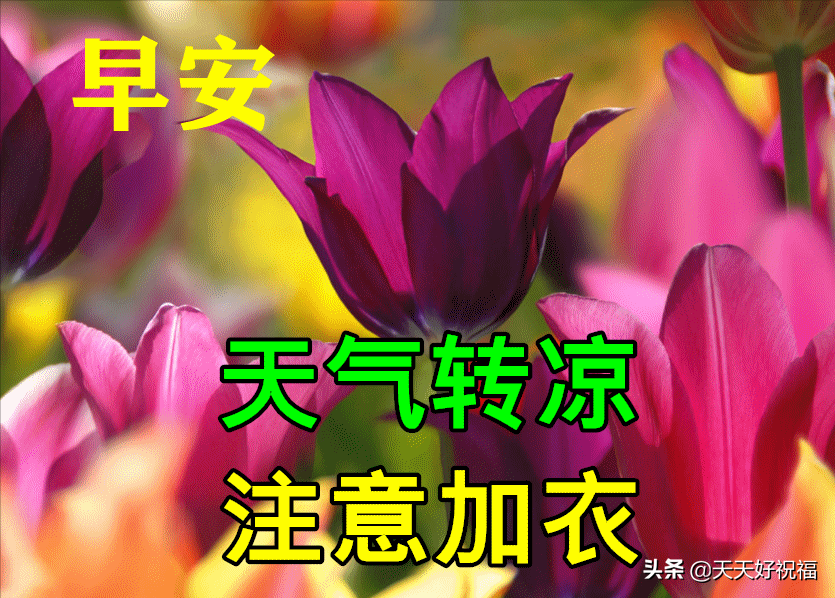 11月6日特别漂亮早上好祝福动态图片大全，深秋早晨好美图大全