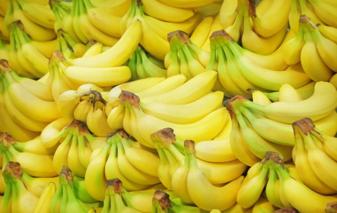香蕉的市场价格是多少？种植前景怎么样？