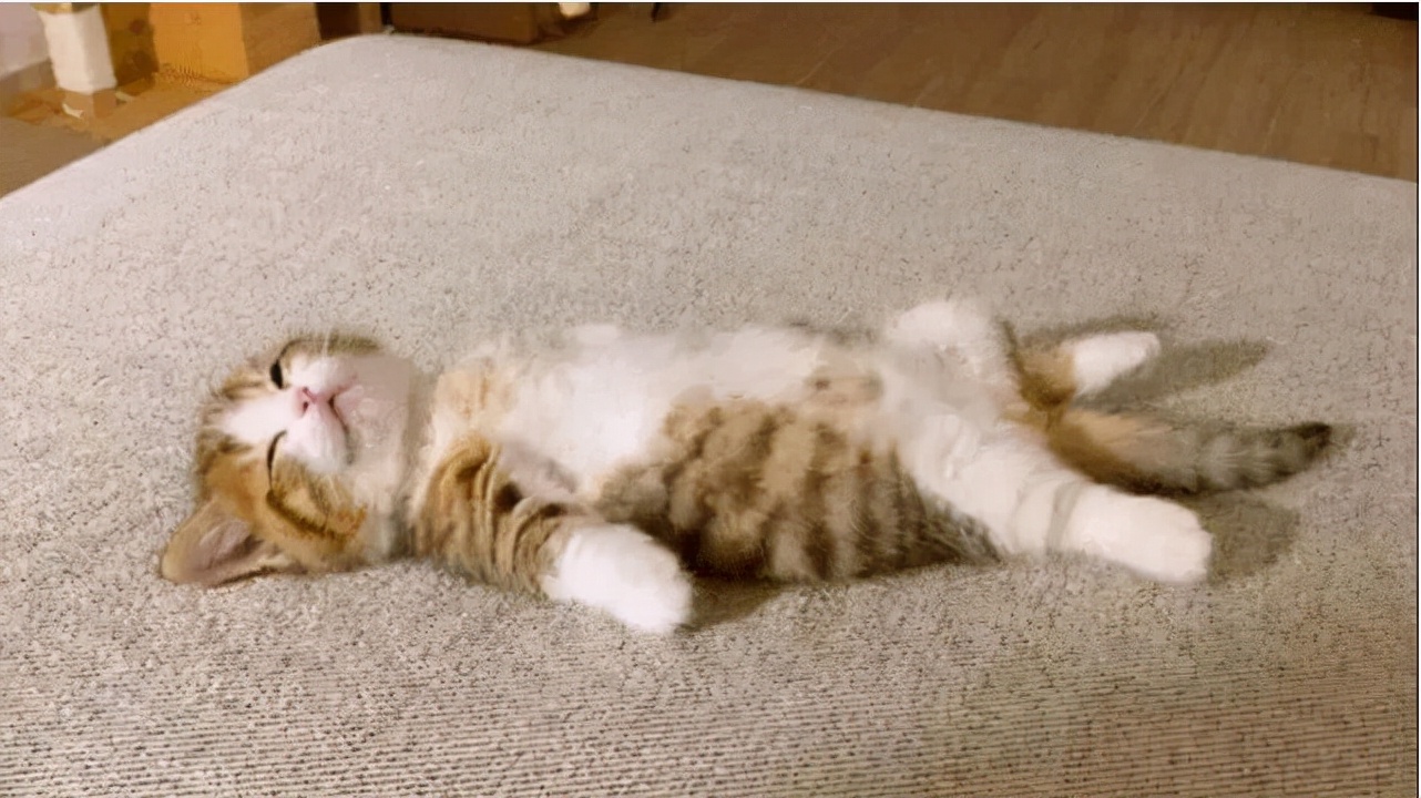 学生串寝室是可以接受的，频繁不太行，也要注意场合和时间