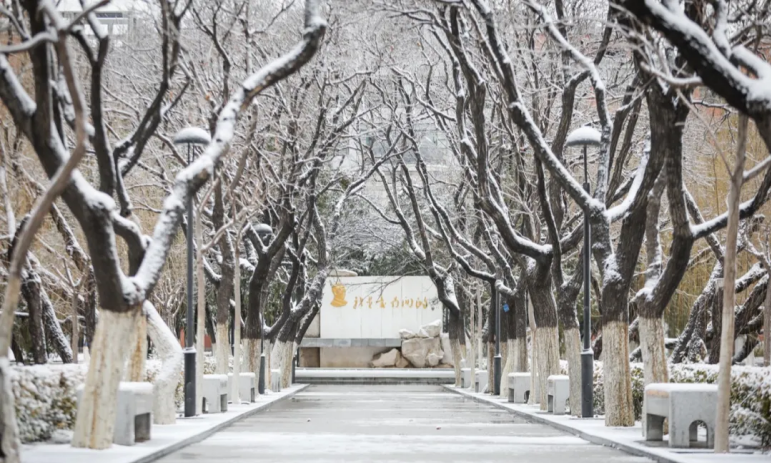 他们是企业董事长、投资银行家，都毕业于南开大学，还一起登上年度榜单！