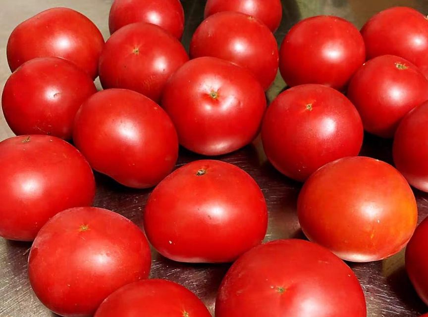 深圳西红柿个人资料(3农学博士种番茄) - 散下步