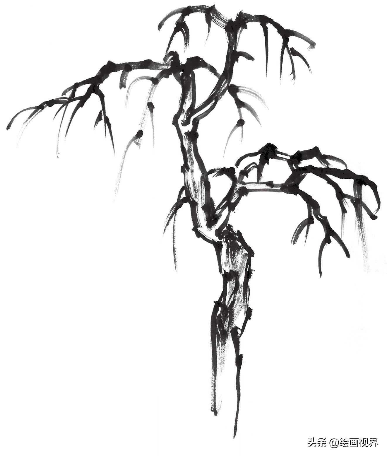 画国画树不会画？教你常见树的画法，简单易学，收藏起来临摹学习