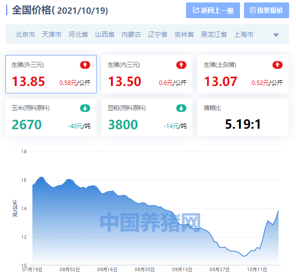 全国生猪价格涨跌表｜2021年10月19日，猪价终于涨至成本价