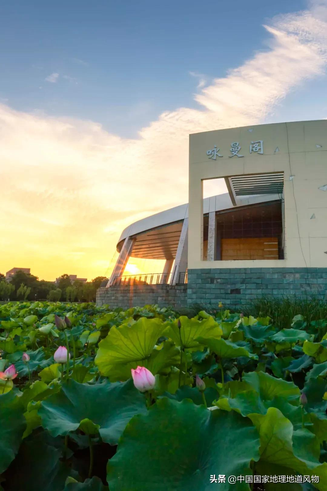 承包了“海港溪泉”的浙江大学，到底有多美？