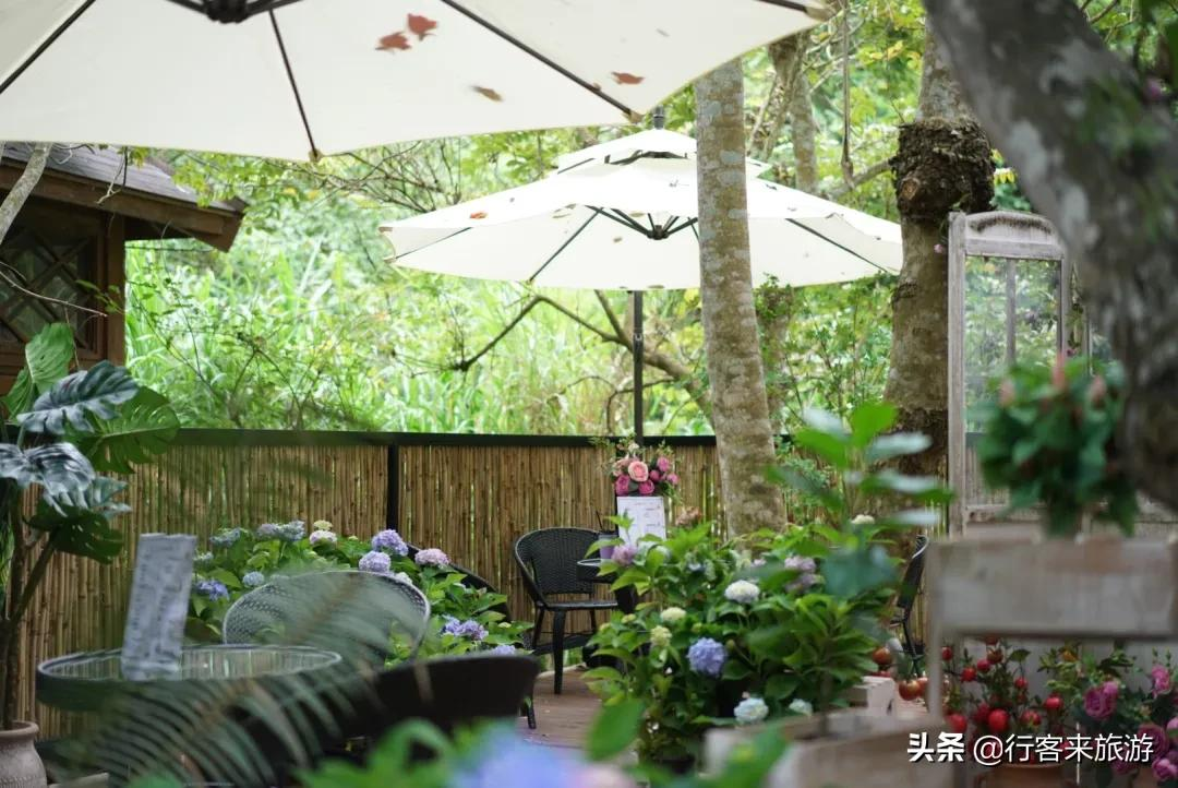 七夕，西双版纳仙女集散地——红盒子，云南旅游新思潮，拿来吧你