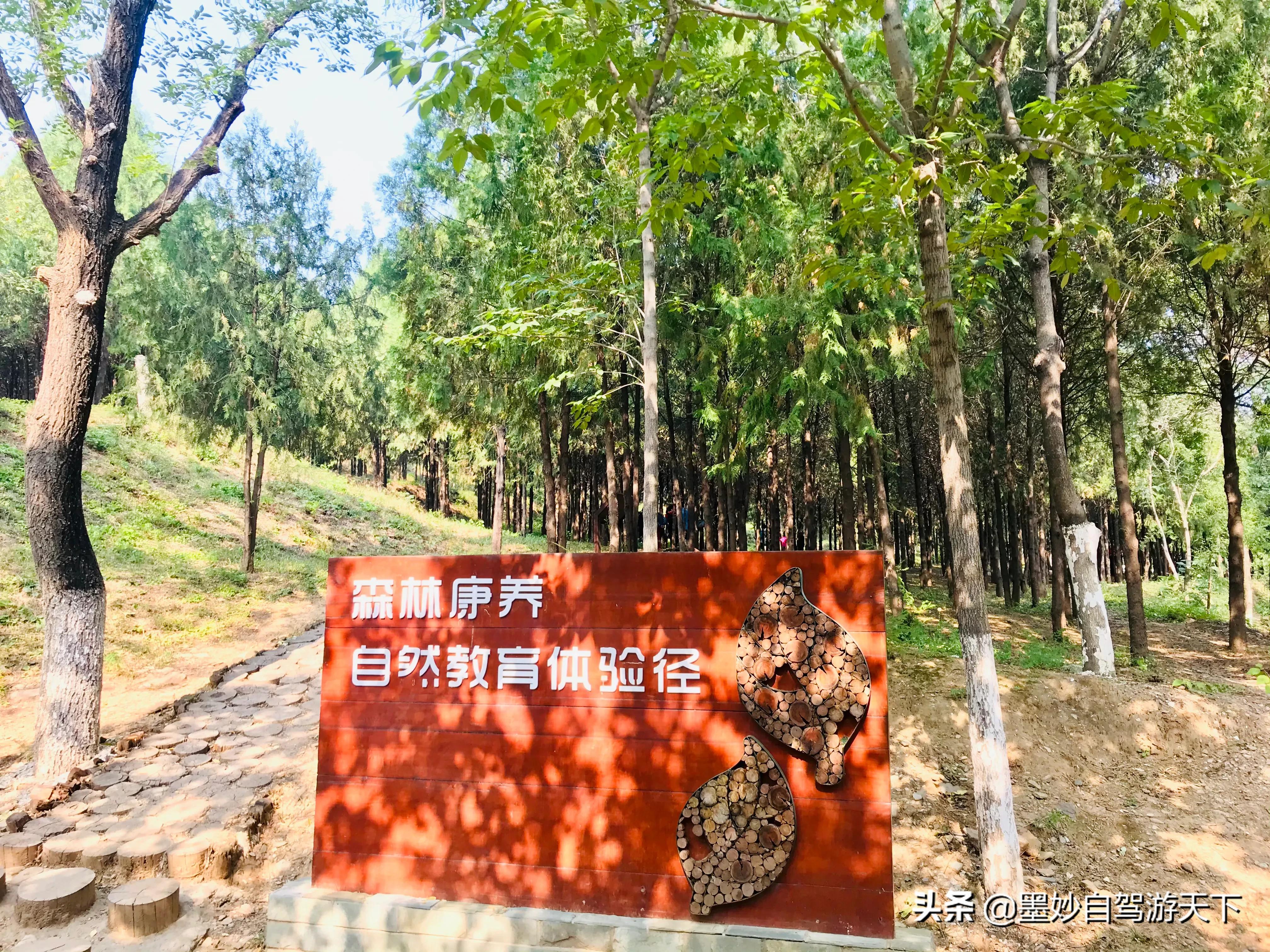 不出京城到江南｜北京市内交通便利的森林公园，端午洗肺好去处