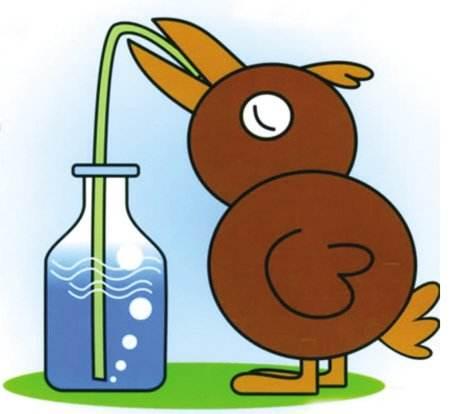 乌鸦还能怎样喝到瓶子里的水 你想到了吗？