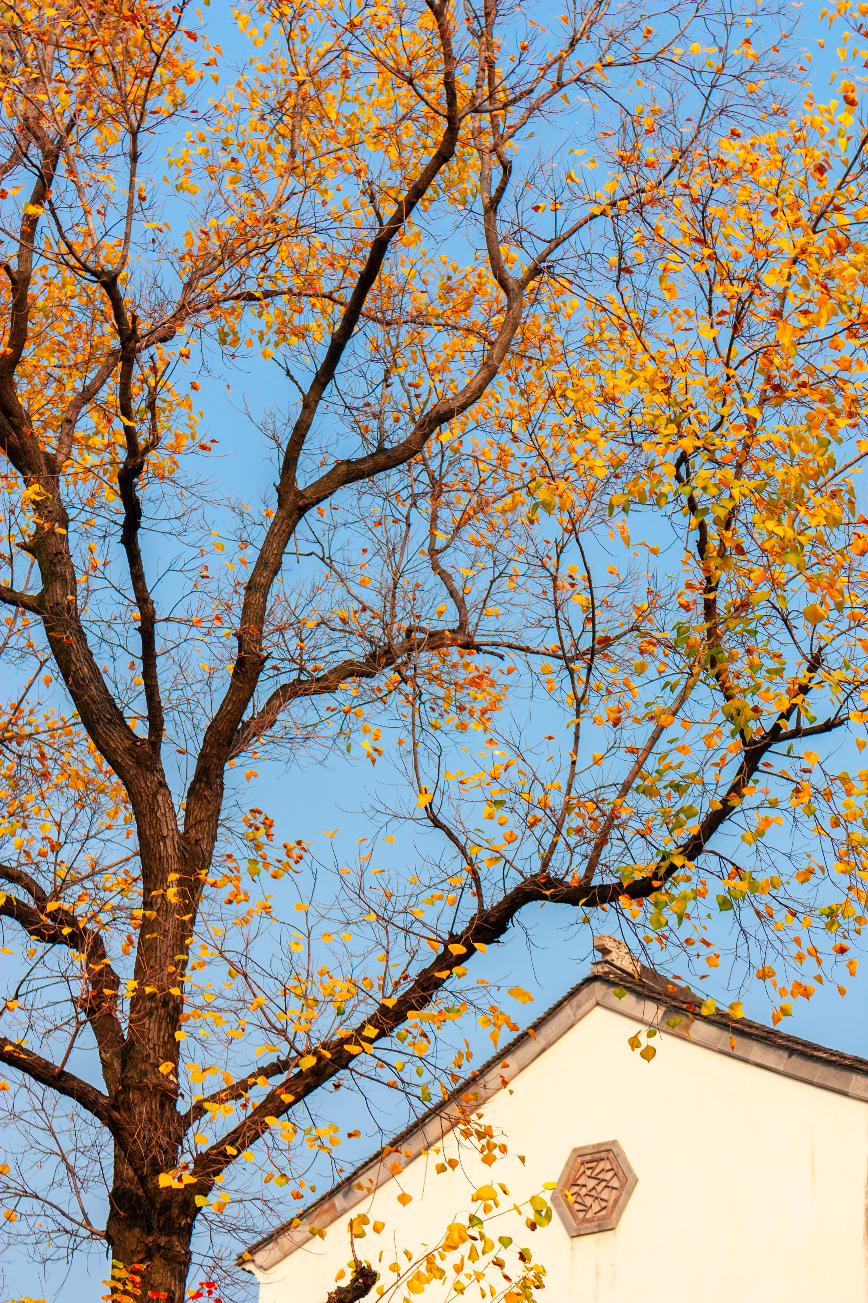 10月这12个颜值高地，已补好了妆，将向世人“卖弄”最美一面